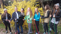 Nordic walking