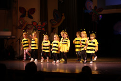 Koncert Wakacyjny