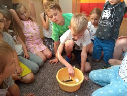 CLIL w klasie 2a
