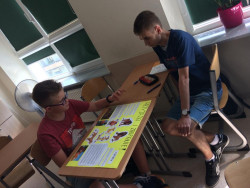 Projekty edukacyjne w klasach 6