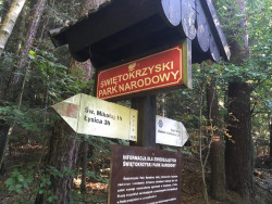 VI Rajd Społecznej