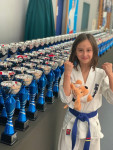 VI Międzynarodowego Turnieju Karate Kyokushin Dzieci i Młodzieży Skarżysko-Kamienna CUP 2019
