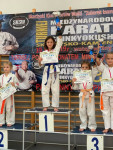 VI Międzynarodowego Turnieju Karate Kyokushin Dzieci i Młodzieży Skarżysko-Kamienna CUP 2019