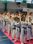 VI Międzynarodowego Turnieju Karate Kyokushin Dzieci i Młodzieży Skarżysko-Kamienna CUP 2019