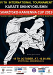 VI  Międzynarodowego Turnieju Karate Kyokushin Dzieci i Młodzieży Skarżysko-Kamienna CUP 2019