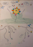 Mind Mapping w klasach 8